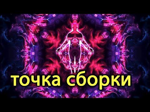 Видео: Что такое точка сборки?