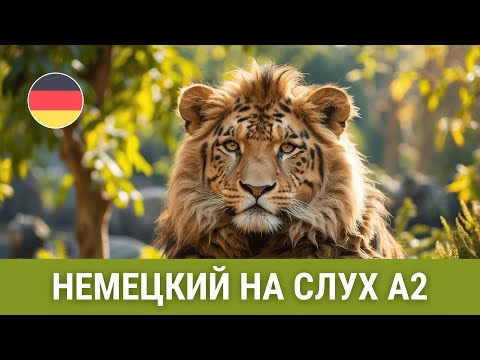 Видео: Немецкий на слух А2. Однажды в Зоопарке