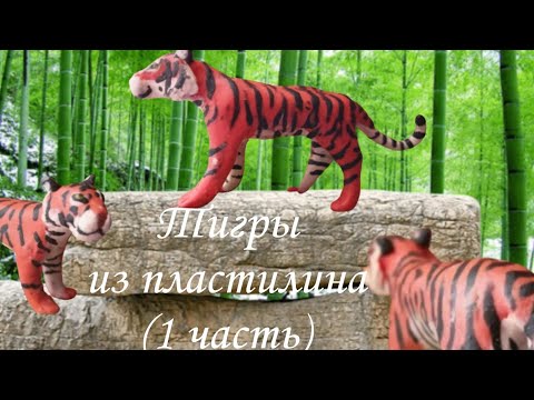 Видео: Лепим тигров: часть 1 (амурский, китайский и индокитайский) (видео 7)