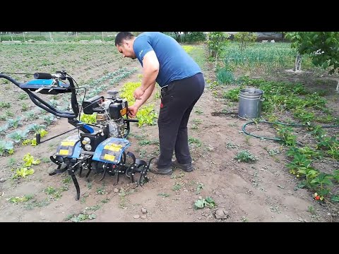 Видео: 🔥 ДТЗ 560ДН — Тест, Який Перевіряє Справжню Силу! 💪🚜😲