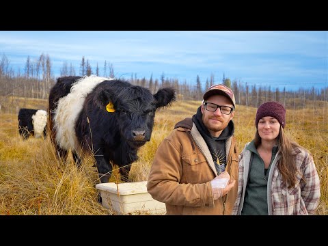 Видео: Нам нужно было добавить немного радости | Новости о травмах