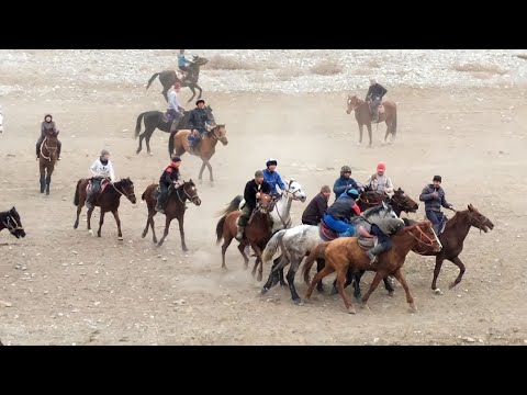 Видео: Чыныгы улакчы атыда 🐎 эгери жок улак чаап журот Лейлек району Миң-Жыгач Айылында болгон улак.