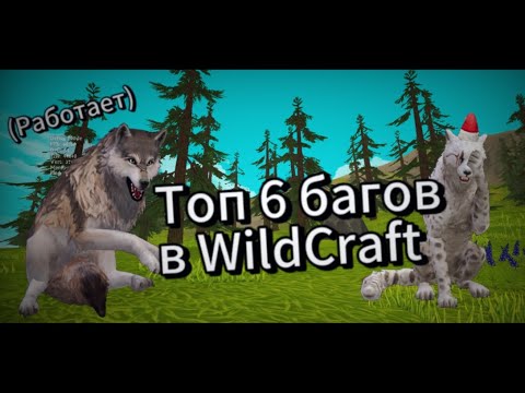 Видео: Топ 6 Багов в WildCraft