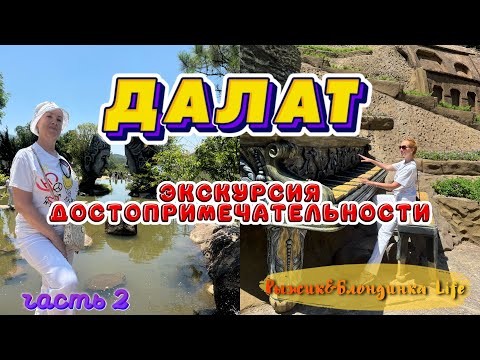 Видео: ДАЛАТ часть 2👌Самая фотографируемая локация 😉 Спуск на ЭЛЕКТРОСАНЯХ 🤩 ОБЕД с местным РОМОМ 🍹🤪