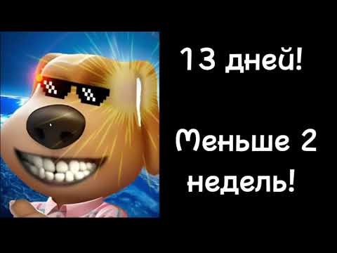 Видео: Сколько осталось до лета реакции бена