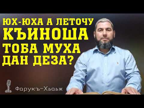 Видео: Юх-юха а леточу къиноша тоба муха дан деза?