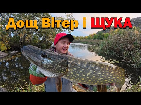 Видео: Монтаж на офсеті ЩУКА !! ЩУКА !! ЩУКА !! Рибалка в жовтні