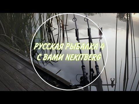 Видео: Русская Рыбалка 4 , Охота на Трофеев , Катушки и удилища в рулетке, Общаемся , Фармим и Чилим