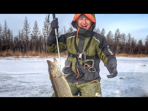 Видео: ВОТ ЭТО ПЕРВЫЙ ЛЕД!!! ОНИ ТАМ КИШАТ!!! Первый лёд 2024 2025. Зимняя рыбалка.