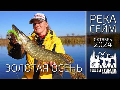 Видео: Золотая осень на реке. Спиннинг с лодки. (26.10.2024)