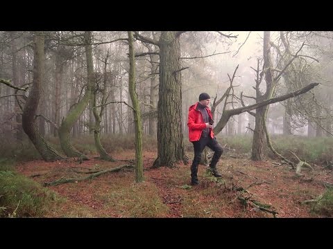 Видео: Пейзажная и лесная фотография с Саймоном Бакстером