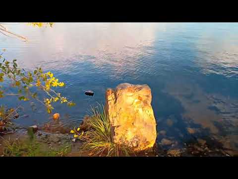 Видео: Пляж ТОЛЬЯТТИ / Эпизод 1 / Уточки