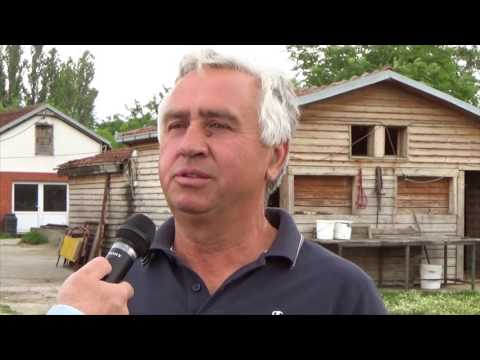 Видео: ЕМИСИЈА СУПЕР ЅВЕЗДА 2017 - ПАЈТОН ГРУП