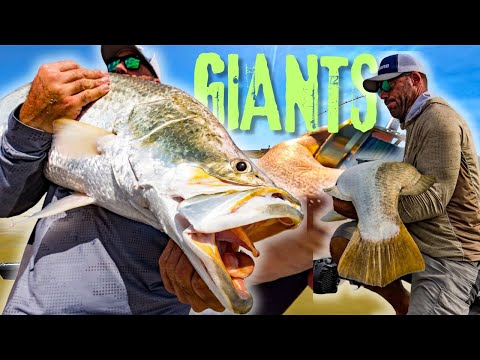 Видео: Не связывайтесь с баррамунди. Мой урок рыбалки дался мне нелегко!