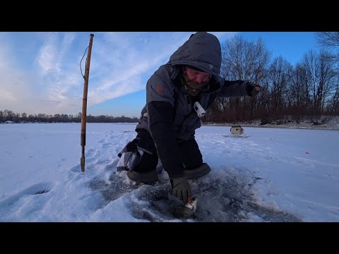 Видео: #рыбалка #плотва #мормышка       Рыбалка!  Вечером в Киеве за Плотвой 2024🐟🐟🐟🐟🐟🐟