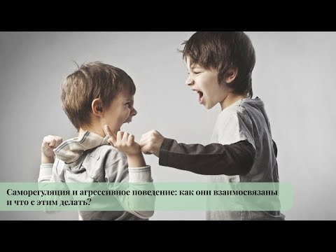 Видео: Саморегуляция и агрессивное поведение: как они взаимосвязаны и что с этим делать?