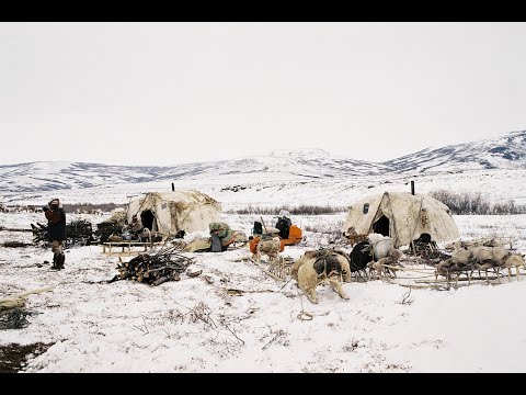 Видео: Вoленьй шкуры. Работа из оленьей шкуры у коряков и чукчей Камчатки (Сибирь).