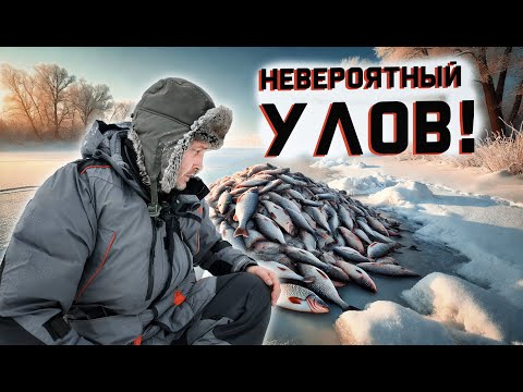 Видео: РЫБА РВЁТ СНАСТИ! МОЙ ЛУЧШИЙ ДЕНЬ НА ЗИМНЕЙ РЫБАЛКЕ!
