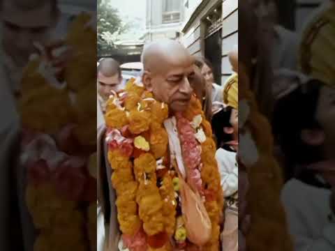 Видео: Как сила сострадания одного человека может изменить жизни тысяч?