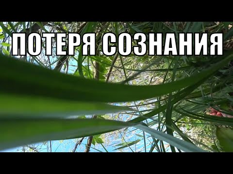 Видео: 7 дней в ГЛУШИ. Без ЕДЫ и ВОДЫ. (Часть 5. Заглянул в ИНОЙ мир.)