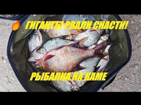 Видео: ДВА ЛЕЩА ОТОРВАЛИ ПОВОДОК! Рыбалка на Каме с лодки — такое впервые