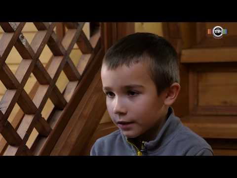 Видео: Дом с хвостом  Белки в вольере содержание и уход домашние животные #Bryusha_Chizhikov