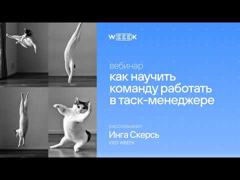 Видео: Как научить команду работать в таск-менеджере (вебинар 29.10 с СЕО WEEEK Ингой Скерсь