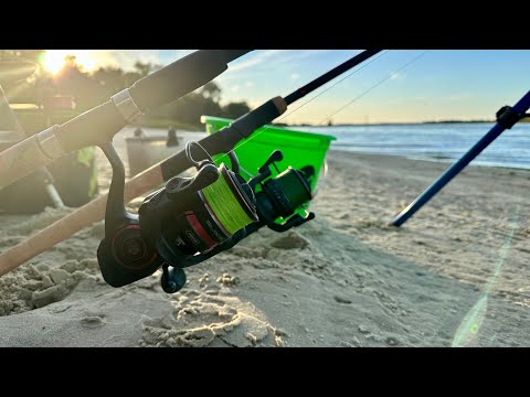 Видео: ПОЧАВСЯ ЖОР! Осіння риболовля на фідер на Дніпрі