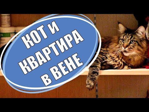 Видео: Квартира в Вене. Цена обслуживания