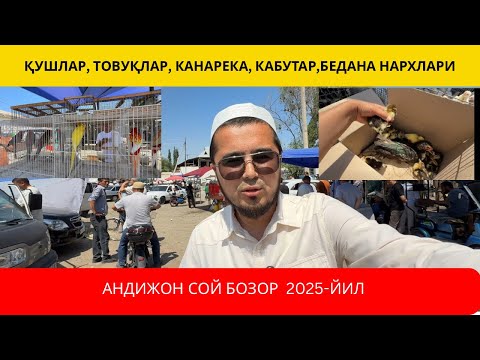 Видео: АНДИЖОН СОЙ БОЗОР | КАНАРЕКА, КАБУТАР, ҚУШ, ТОВУҚ НАРХЛАРИ