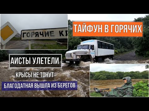 Видео: ТАЙФУН в Горячих Ключах. Крысы плывут. Аисты на речке. 80-ка в брод. Дороги размыты | о.Итуруп 2022