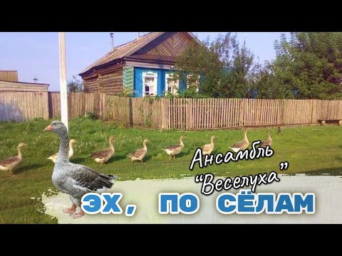 Видео: В ПОИСКАХ НЕВЕСТЫ...