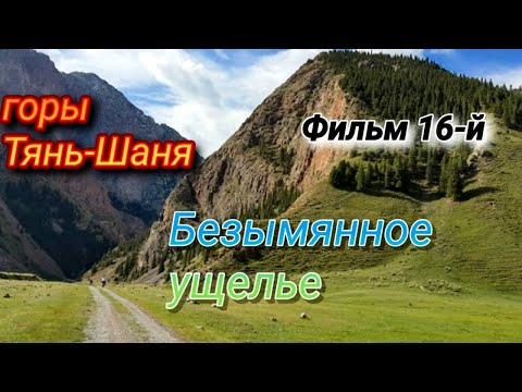 Видео: Безымянное ущелье. Фильм 16-й. Горы Kyrgyzstan.