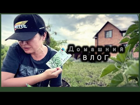 Видео: ВЛОГ Бытовой  / Уборка / Занимаюсь цветами / Бытовые дела по дому