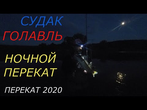 Видео: Судак и голавль на ночном перекате