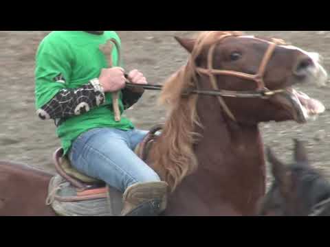 Видео: улок Воситжон купкари сух  2021