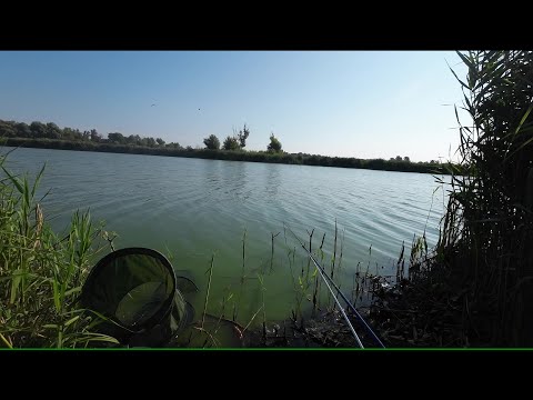 Видео: Херабуна, перші враження та власний досвід.