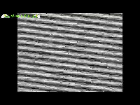 Видео: Конец вещания 1 программы ЦТ, начало вещания 1 канала Останкино (Gacha Club) (27.12.1991)