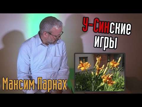 Видео: У-Синские игры