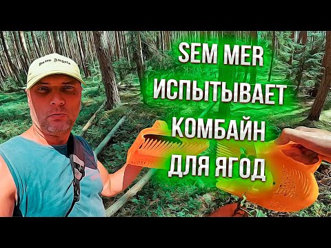 Видео: Sem Mer идёт за черникой проверяем чудо комбайн !!!