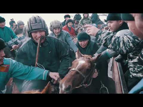 Видео: аламан улак Алай р-н Жошолу айылы