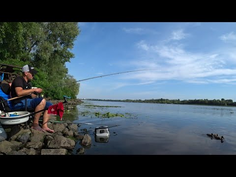 Видео: #рыбалка #фидер   Риболовля на Дніпрі 🐟 Фідер 2024🇺🇦