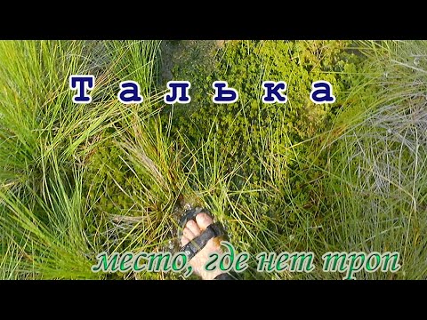 Видео: Талька - Осиповичи