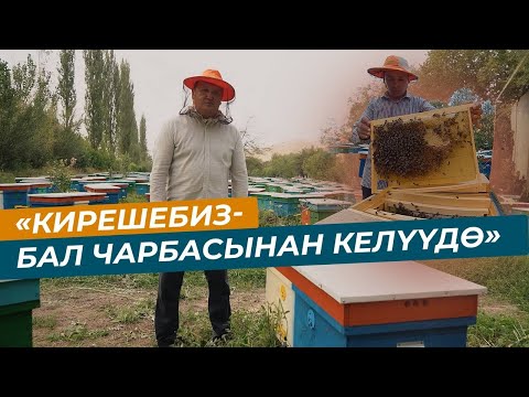 Видео: "Бал өндүрүү", ИФАД, " Рынокторго чыгууну камсыздоо",   Эмилбек Базаркулов