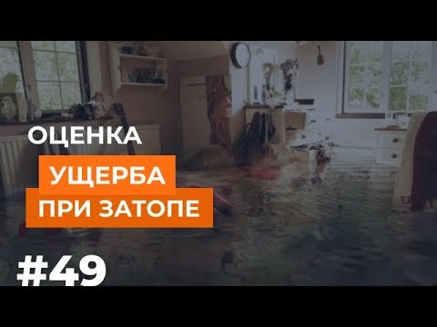 Видео: Оценка ущерба при затопе