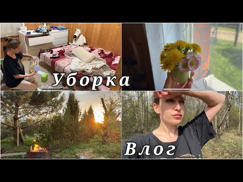 Видео: Дачная жизнь || Мотивация на уборку