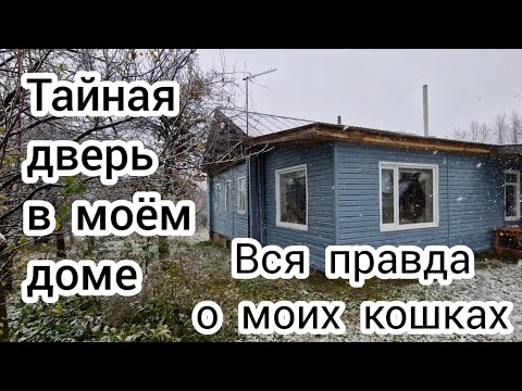 Видео: Тайная дверь в моём доме🏠 Вся правда о моих кошках🐈‍⬛