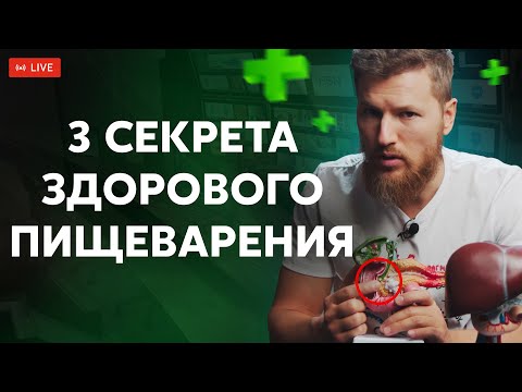 Видео: 3 СЕКРЕТА здорового пищеварения | Ответы на вопросы в прямом эфире