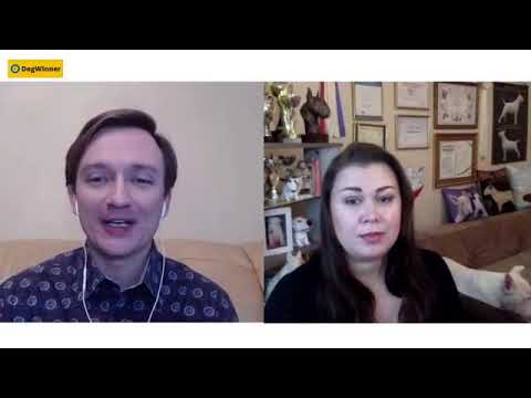 Видео: Натуральное питание собак. Виды кормлений собак.