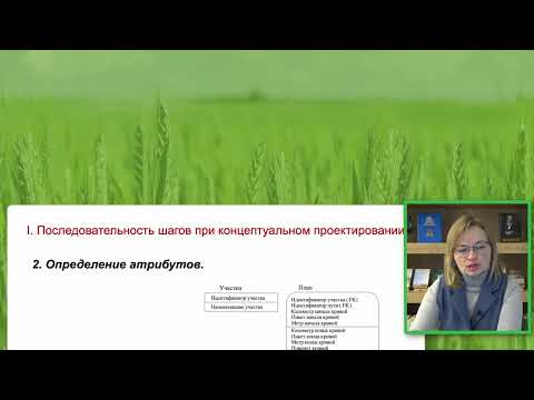 Видео: Модель IDEF1X